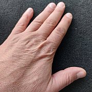 Elcaso - чоловік, 41 років, Goleniów