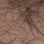 Daniello69 - мужчина, 25 лет, Warszawa