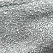 Arturppp - mężczyzna, 45 lat, Wrocław