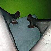 FazzziBear - транссексуалы, 25 лет, Łódź