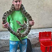 1234 - muž, 34 let, Tczew