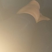 Sofftt1 - frau, 49 Jahre, Węgrów