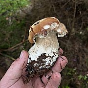 Hyyabsb - мужчина, 29 лет, Bielsko-Biała