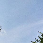 StupkowyBazar - mann, 21 Jahre, Radom