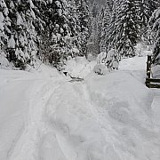 Siupeer - mann, 37 Jahre, Erding