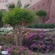 ZHEKA - mężczyzna, 42 lat, Szczecin