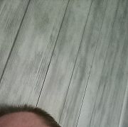 Tomr1982 - mężczyzna, 43 lat, Drawsko Pomorskie