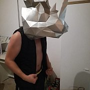 INNYtroszkeDZIWnyALEspoko