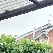 Dasz281 - mężczyzna, 39 lat, Manchester