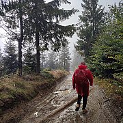 Dokonca86 - mężczyzna, 38 lat, Warszawa