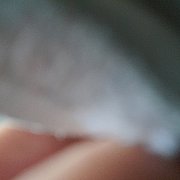 Giorgio89 - mężczyzna, 36 lat, Bolesławiec