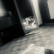 Johnypitt89
