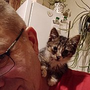 Janko51 - mężczyzna, 53 lat, Sępólno Krajeńskie