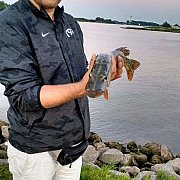 CrazyPenis - чоловік, 40 років, Opole