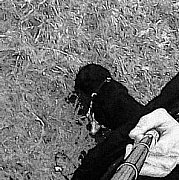 Michas199667 - muž, 29 let, Acton