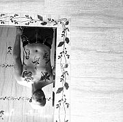 Furyyy - man, 25 years, Kraków