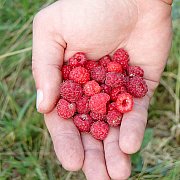 Bogdanek - mężczyzna, 40 lat, Zawiercie