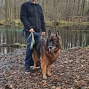 AdiVkladi - mężczyzna, 40 lat, Łódź