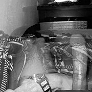 Bialyimlodychcetylkokasyniezony