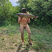 16528 - man, 51 years, Wodzisław Śląski