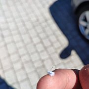 Ziemjan4 - mężczyzna, 35 lat, Bielefeld