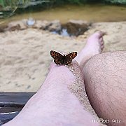 TAKER - mężczyzna, 48 lat, Sosnowiec