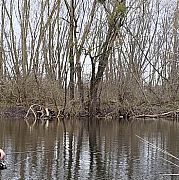 Damieeeno - mężczyzna, 33 lat, Frankfurt Am Main