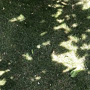 Hejradom - muž, 22 let, Radom