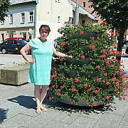 Marika1972 - kobieta, 53 lat, Dynów