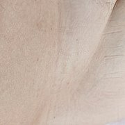 Alex3107 - мужчина, 48 лет, Bielsko-Biała