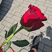 Ricko6397 - mężczyzna, 24 lat, Nysa