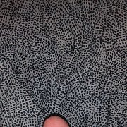 Szukamnacuckold21 - мужчина, 22 лет, Tarnobrzeg