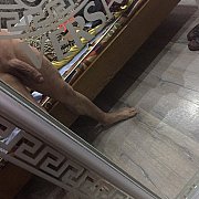 Goodi - mężczyzna, 27 lat, Świebodzin