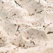 Ramzes84 - mann, 41 Jahre, Słupsk