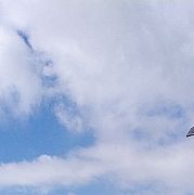 Husi92 - mężczyzna, 33 lat, Kłodzko