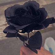 Galinka - žena, 25 let, Szczecin