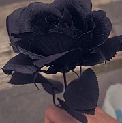 Galinka - žena, 25 let, Szczecin