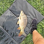 Seba09711 - trans, 24 years, Lublin