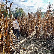 TSHunter - man, 33 years, Kraków