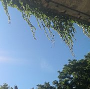 Szymiks - mężczyzna, 37 lat, Brussels