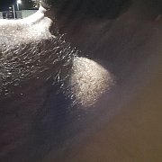 ZbigniewPawel - mann, 33 Jahre, Częstochowa