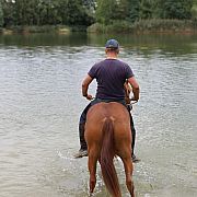 Edek888 - muž, 37 let, Olsztyn