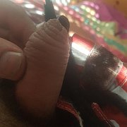 Kogut - мужчина, 38 лет, Mainz