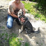 Adamo80 - mężczyzna, 45 lat, Częstochowa