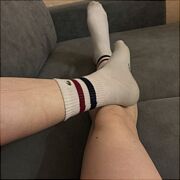 Wlkpfallus