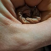 Lubiespust - man, 41 years, Iława