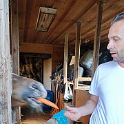 81Slawek - mężczyzna, 43 lat, Oświęcim