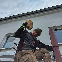 Photo in gallery