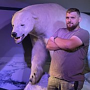 Misiek358 - mężczyzna, 31 lat, Wieluń