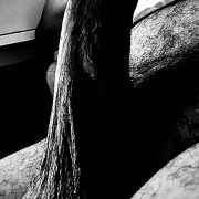 Wannabe - mężczyzna, 40 lat, Kraków